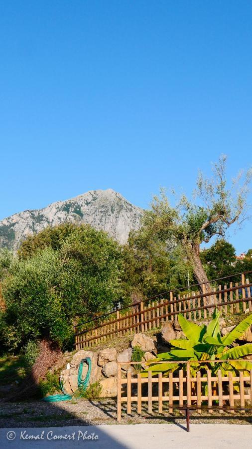 Apartamento Al Boschetto Scario Exterior foto